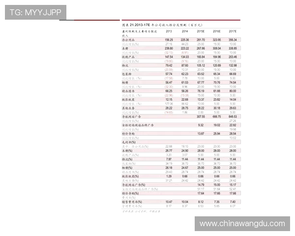 pg壹号娱乐模型怎么样，市场反馈与竞争优势分析，帮助你判断其行业地位