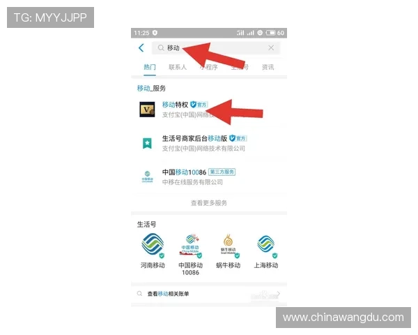 壹号下载app链接使用流程详解帮助用户轻松掌握操作技巧