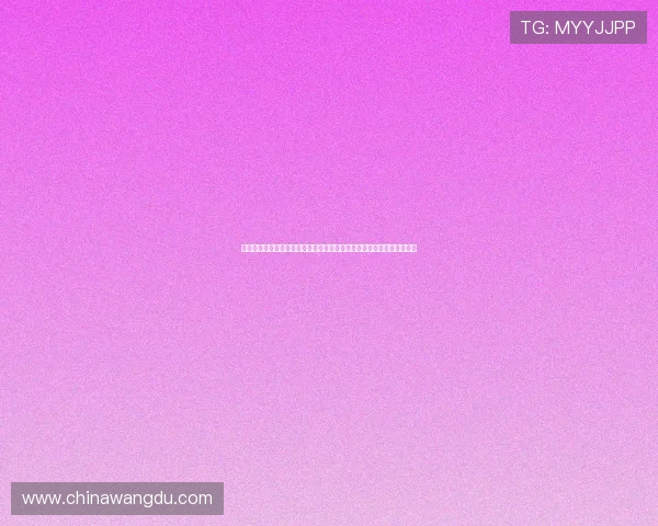 壹号信息官网首页：探索壹号信息官网首页上的企业文化与发展战略介绍