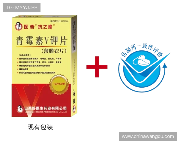 壹号城平台药品的客户服务与售后保障体系，提供全方位的药品咨询与问题解决方案