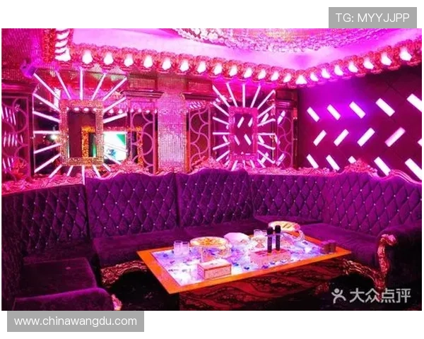 壹号娱乐：专业团队打造高品质娱乐内容，提供最优质的娱乐服务体验