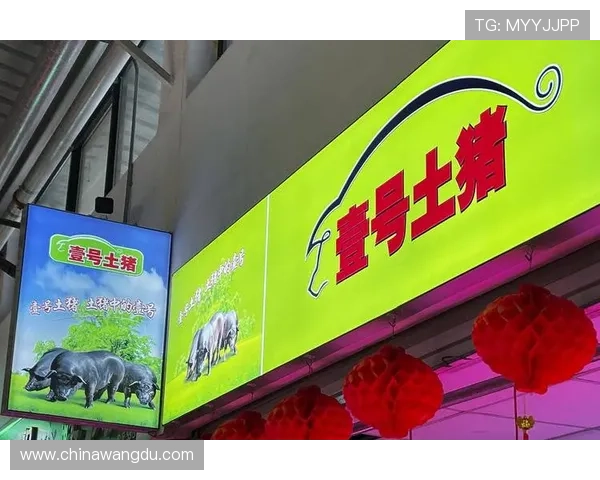 壹号娱乐集团官网:公司新闻动态与行业合作最新资讯 壹号娱乐集团官网:公司新闻动态与行业合作最新资讯