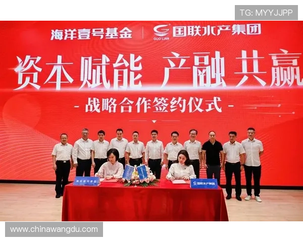 壹号平台：打造企业合作与资源共享的高效交流平台促进企业共赢