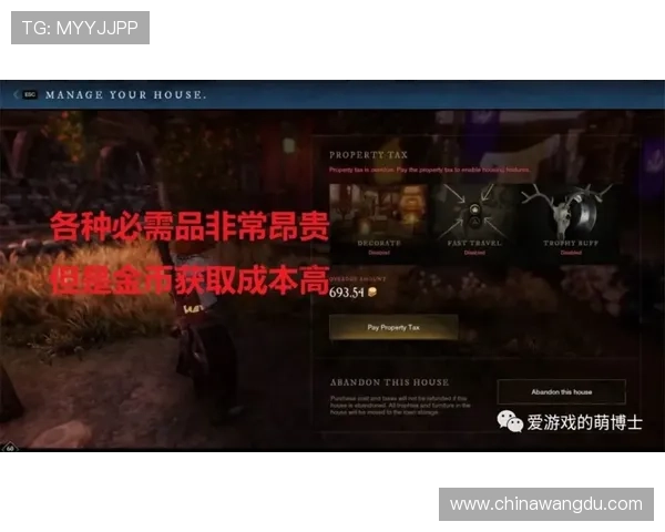 壹号玩家:如何成为壹号玩家中的佼佼者,提升个人游戏水平的实用指南