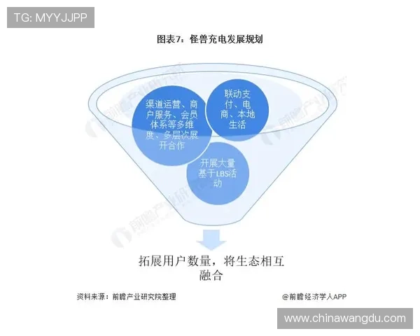 深入剖析壹号平台的商业生态系统与合作伙伴关系